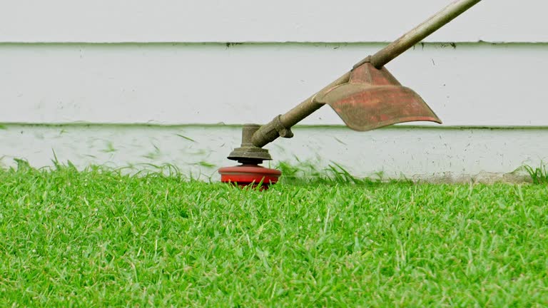 Best Lawn Drainage Solutions  in Frostproof, FL